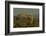 Sunset, Superstition Mts, Lost Dutchman SP, Apache Junction, Arizona-Michel Hersen-Framed Photographic Print