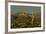 Sunset, Superstition Mts, Lost Dutchman SP, Apache Junction, Arizona-Michel Hersen-Framed Photographic Print