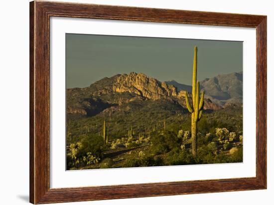 Sunset, Superstition Mts, Lost Dutchman SP, Apache Junction, Arizona-Michel Hersen-Framed Photographic Print