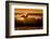 Sunset surfing-Sandi Bertoncelj-Framed Photographic Print