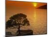 Sunset, Sveta Nedelja, Hvar Island, Croatia, Europe-Ken Gillham-Mounted Photographic Print