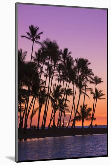 Sunset through silhouetted palms at Anaeho'omalu Bay, Kohala Coast, Big Island, Hawaii, USA-Russ Bishop-Mounted Photographic Print