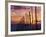 Sunset Through the Vines of the Italian Wine Country, Tuscany, Italy-Janis Miglavs-Framed Photographic Print