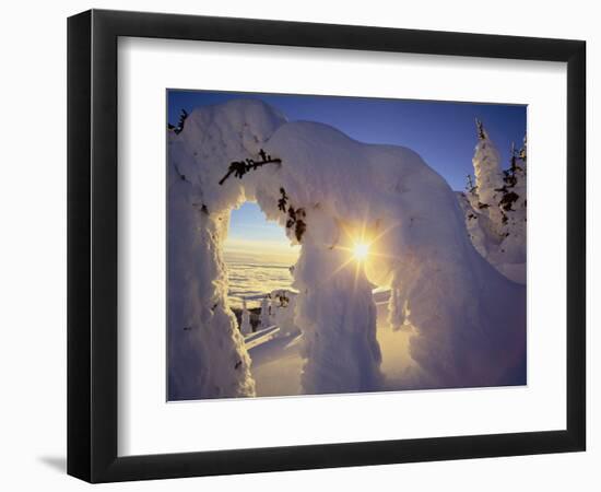 Sunset Thru the Snowghosts, Big Mountain, Whitefish, Montana, USA-Chuck Haney-Framed Premium Photographic Print