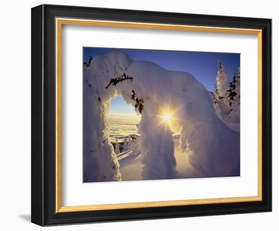 Sunset Thru the Snowghosts, Big Mountain, Whitefish, Montana, USA-Chuck Haney-Framed Premium Photographic Print