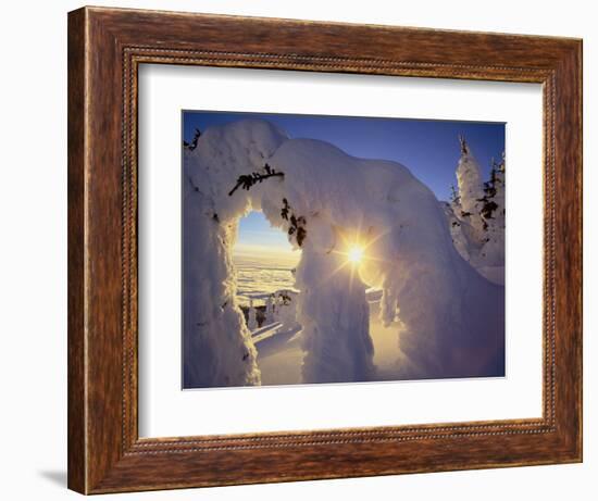 Sunset Thru the Snowghosts, Big Mountain, Whitefish, Montana, USA-Chuck Haney-Framed Photographic Print