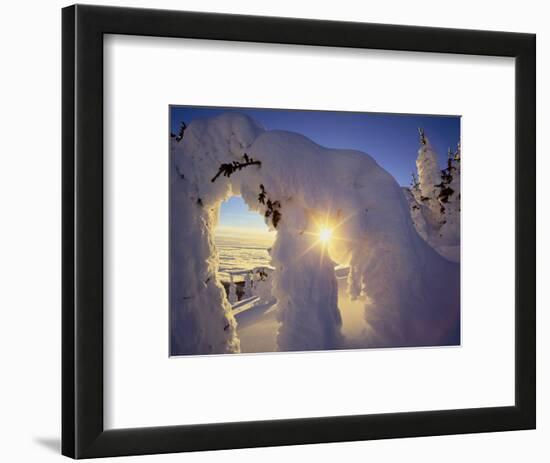 Sunset Thru the Snowghosts, Big Mountain, Whitefish, Montana, USA-Chuck Haney-Framed Photographic Print