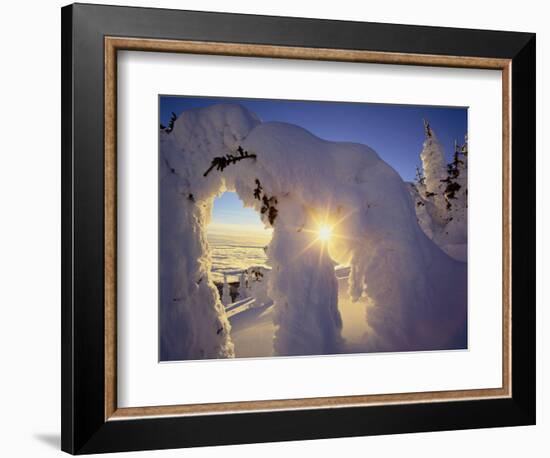 Sunset Thru the Snowghosts, Big Mountain, Whitefish, Montana, USA-Chuck Haney-Framed Photographic Print