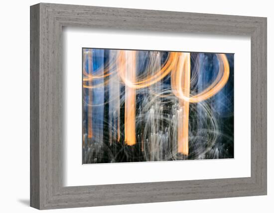 Sunset Trees-Ursula Abresch-Framed Photographic Print