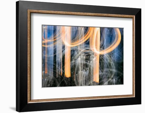 Sunset Trees-Ursula Abresch-Framed Photographic Print