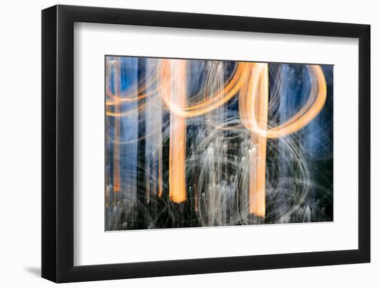 Sunset Trees-Ursula Abresch-Framed Photographic Print