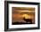 Sunset, Tule Elk Wildlife, Point Reyes National Seashore, California, USA-Gerry Reynolds-Framed Photographic Print