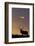 Sunset, Tule Elk Wildlife, Point Reyes National Seashore, California, USA-Gerry Reynolds-Framed Photographic Print