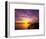 Sunset, Twelve Apostles, Port Campbell National Park, Great Ocean Road, Victoria, Australia-David Wall-Framed Photographic Print