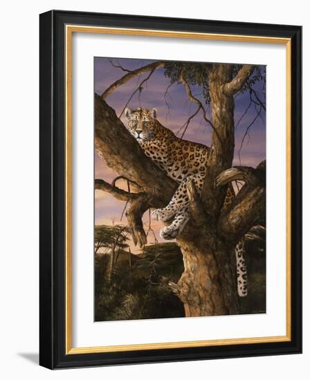 Sunset Vantage-Trevor V. Swanson-Framed Giclee Print