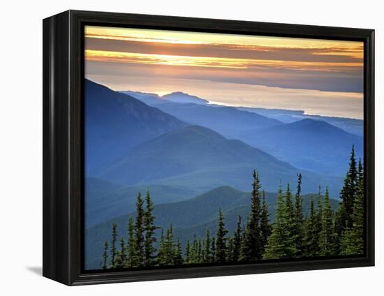 Sunset View from Deer Park, Olympic National Park, Washington, USA-Don Paulson-Framed Premier Image Canvas