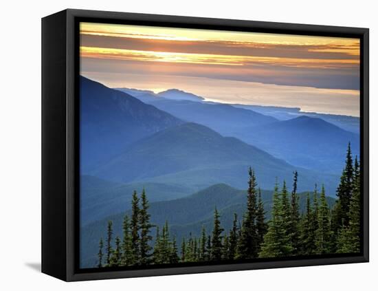 Sunset View from Deer Park, Olympic National Park, Washington, USA-Don Paulson-Framed Premier Image Canvas