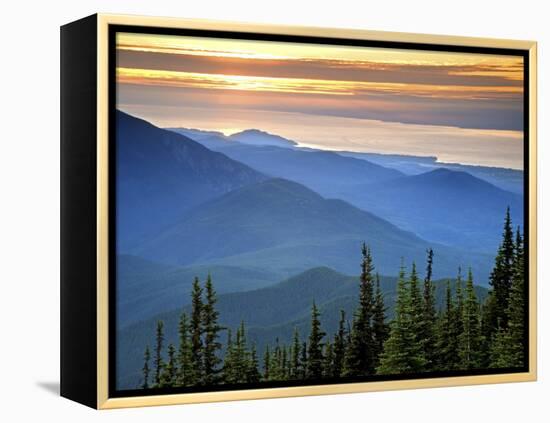 Sunset View from Deer Park, Olympic National Park, Washington, USA-Don Paulson-Framed Premier Image Canvas