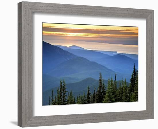 Sunset View from Deer Park, Olympic National Park, Washington, USA-Don Paulson-Framed Photographic Print