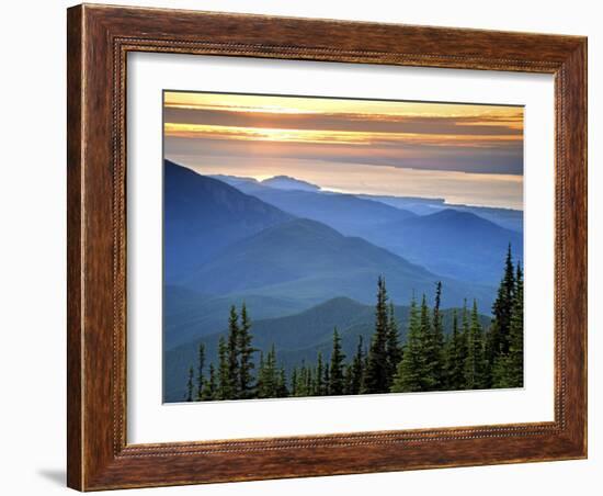 Sunset View from Deer Park, Olympic National Park, Washington, USA-Don Paulson-Framed Photographic Print