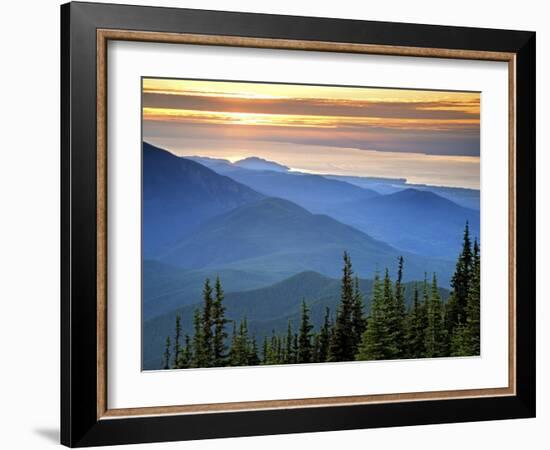 Sunset View from Deer Park, Olympic National Park, Washington, USA-Don Paulson-Framed Photographic Print