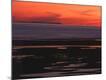 Premium Photographic Print