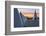 Sunset View of Umbracle Adjacent to El Palau De Les Arts Reina Sofia, City of Arts and Sciences-Cahir Davitt-Framed Photographic Print