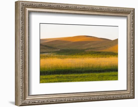 Sunset view of wheat field, Palouse, Washington State, USA-Keren Su-Framed Photographic Print