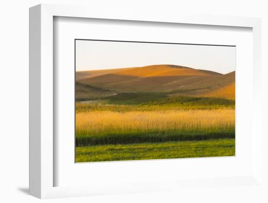 Sunset view of wheat field, Palouse, Washington State, USA-Keren Su-Framed Photographic Print