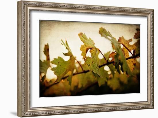 Sunset Vines-Jessica Rogers-Framed Giclee Print