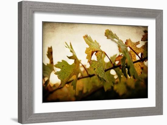 Sunset Vines-Jessica Rogers-Framed Giclee Print