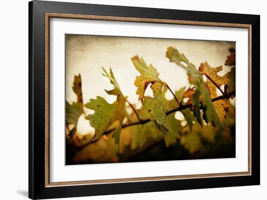 Sunset Vines-Jessica Rogers-Framed Giclee Print