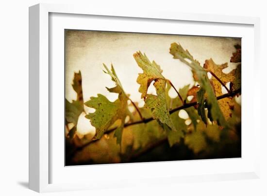 Sunset Vines-Jessica Rogers-Framed Giclee Print