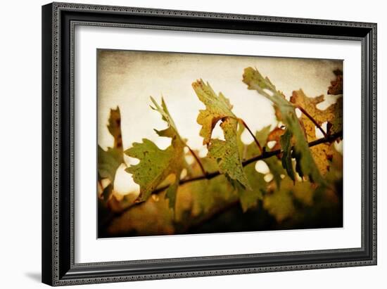 Sunset Vines-Jessica Rogers-Framed Giclee Print