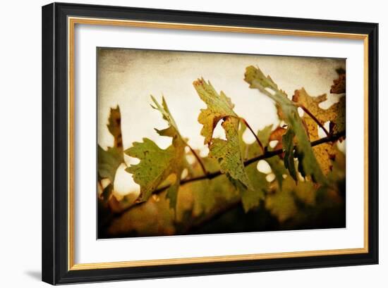 Sunset Vines-Jessica Rogers-Framed Giclee Print