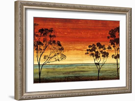Sunset Vista I-Chris Donovan-Framed Art Print