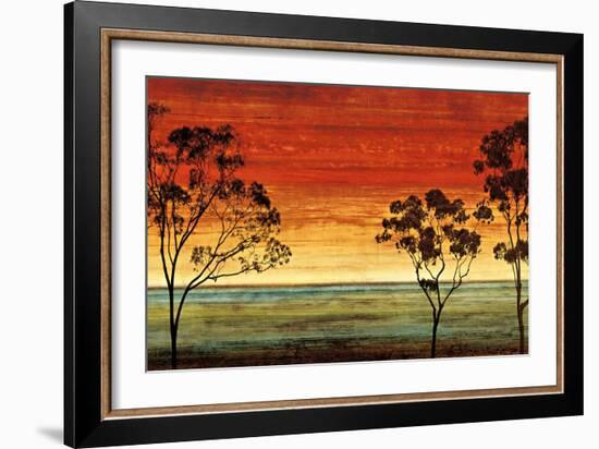 Sunset Vista I-Chris Donovan-Framed Art Print