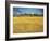 Sunset: Wheat Fields Near Arles, 1888-Vincent van Gogh-Framed Premium Giclee Print