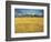 Sunset: Wheat Fields Near Arles, 1888-Vincent van Gogh-Framed Giclee Print