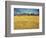 Sunset: Wheat Fields Near Arles, 1888-Vincent van Gogh-Framed Giclee Print