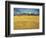 Sunset: Wheat Fields Near Arles, 1888-Vincent van Gogh-Framed Giclee Print