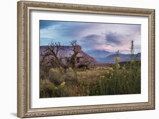 Sunset While Looking Out Over The La Sal Mountain Range Outside The Fisher Towers - Moab, Utah-Dan Holz-Framed Photographic Print