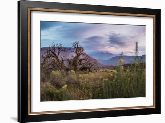 Sunset While Looking Out Over The La Sal Mountain Range Outside The Fisher Towers - Moab, Utah-Dan Holz-Framed Photographic Print