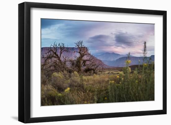 Sunset While Looking Out Over The La Sal Mountain Range Outside The Fisher Towers - Moab, Utah-Dan Holz-Framed Photographic Print