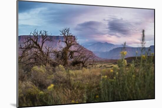 Sunset While Looking Out Over The La Sal Mountain Range Outside The Fisher Towers - Moab, Utah-Dan Holz-Mounted Photographic Print