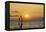 Sunset, Windsurfing, Ocean, Maui, Hawaii, USA-Gerry Reynolds-Framed Premier Image Canvas