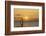 Sunset, Windsurfing, Ocean, Maui, Hawaii, USA-Gerry Reynolds-Framed Photographic Print