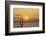 Sunset, Windsurfing, Ocean, Maui, Hawaii, USA-Gerry Reynolds-Framed Photographic Print