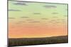 Sunset with Wildflowers-James W. Johnson-Mounted Giclee Print