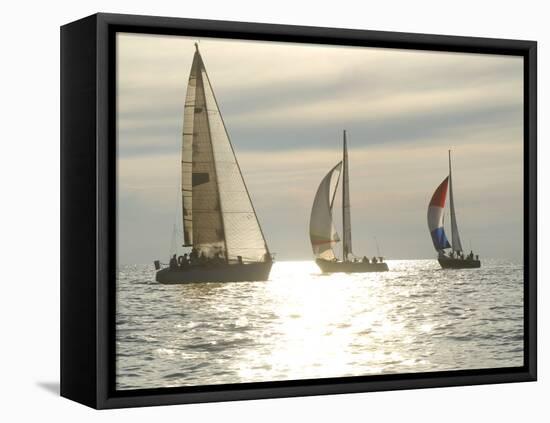 Sunset Yacht Race-Felixcoinc-Framed Premier Image Canvas